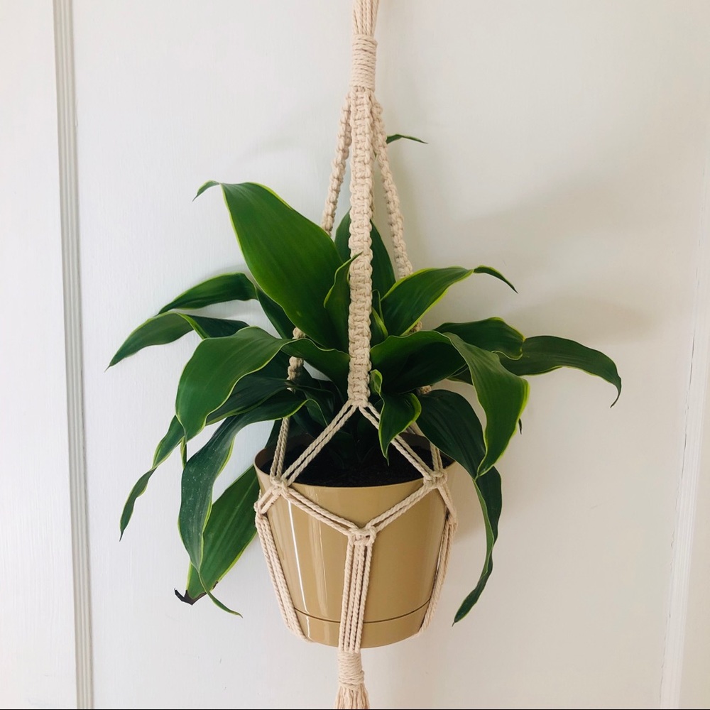 🎉Host Pick🎉 Macrame Plant Hanger